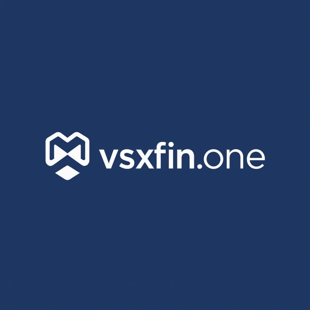 Vsxfin